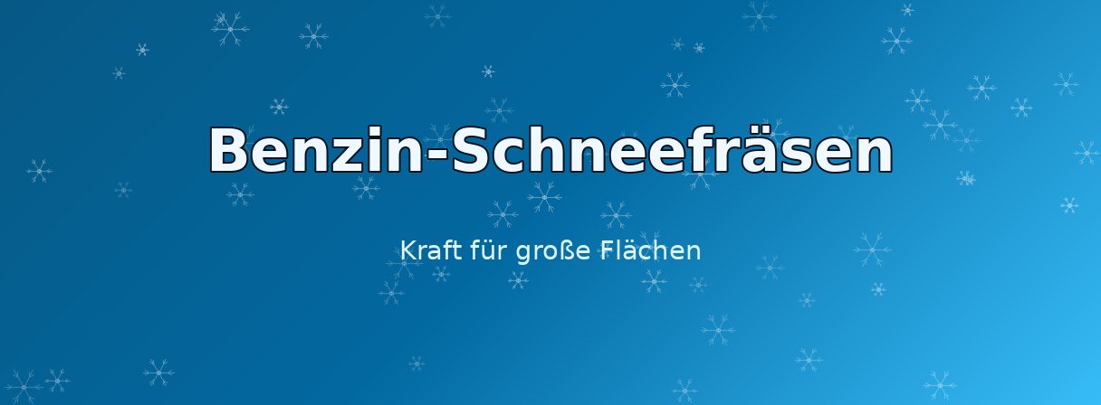 Benzin-Schneefräse Kategorie